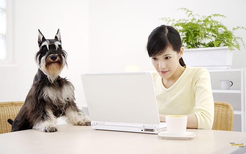 Emailing, lantop, puppy, people, dog, HD wallpaper