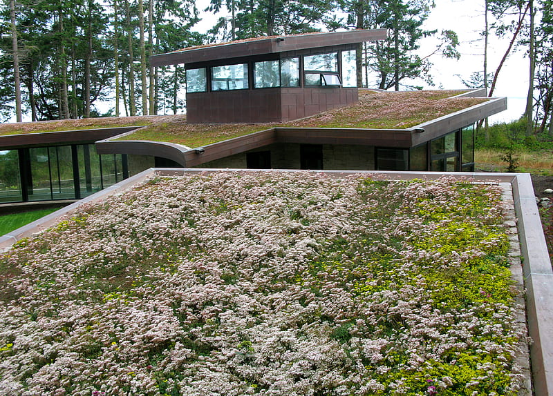 Multi-Structured Private Residence, little and little construction, 2009 greenroofs calendar, clayton rugh, xero flor america, green roofs, HD wallpaper