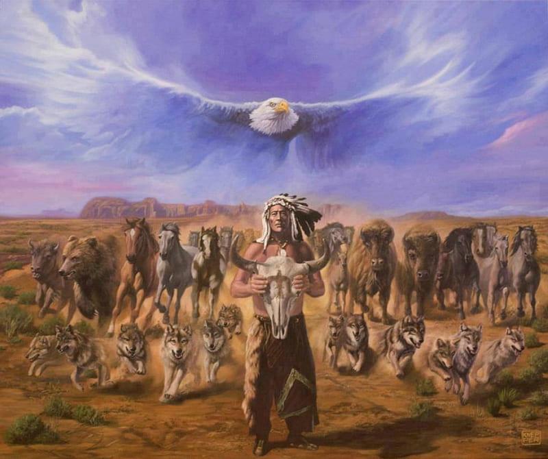 native american, eagle, buffalo, native, wolf, horse, praire, HD wallpaper