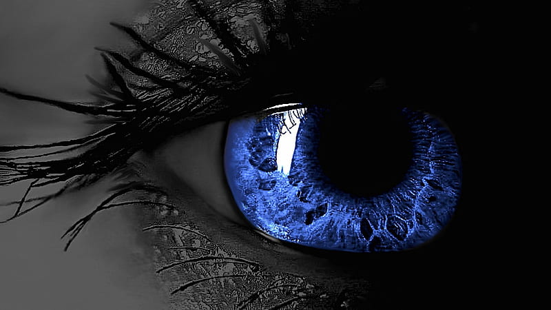 Closeup View Of Blue Pupil Eye Blue, HD wallpaper