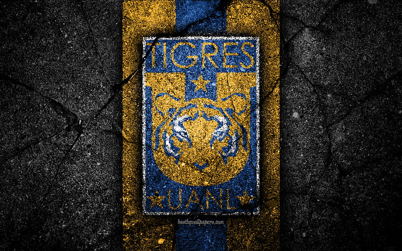 UANL Tigres FC, logo, Liga MX, football, soccer, Primera Division, black stone, Mexico, UANL Tigres, asphalt texture, football club, FC UANL Tigres, HD wallpaper
