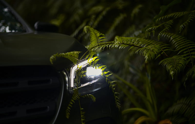 car, headlight, fern, light, leaves, HD wallpaper