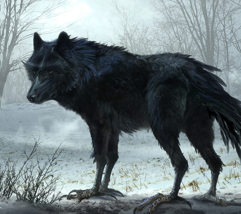 Wolf, black, creature, HD wallpaper | Peakpx
