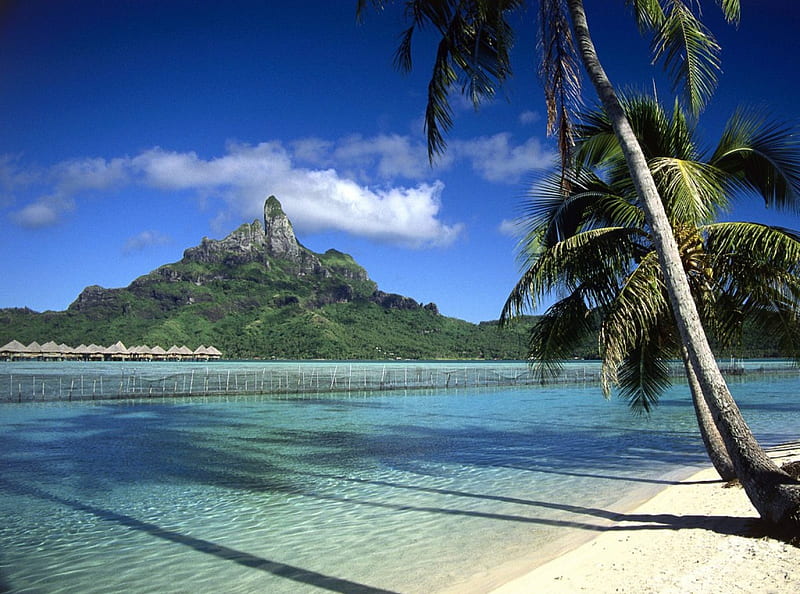 Shoreline - Bora Bora, bora bora, beach, huts, mountains, shoreline, tropical, palms, HD wallpaper