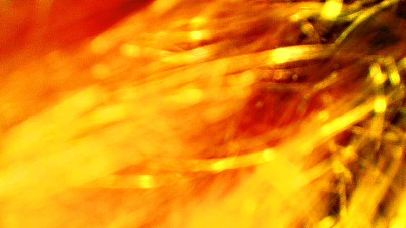 Sparks and fire, bird, lit, phoenix, HD wallpaper | Peakpx