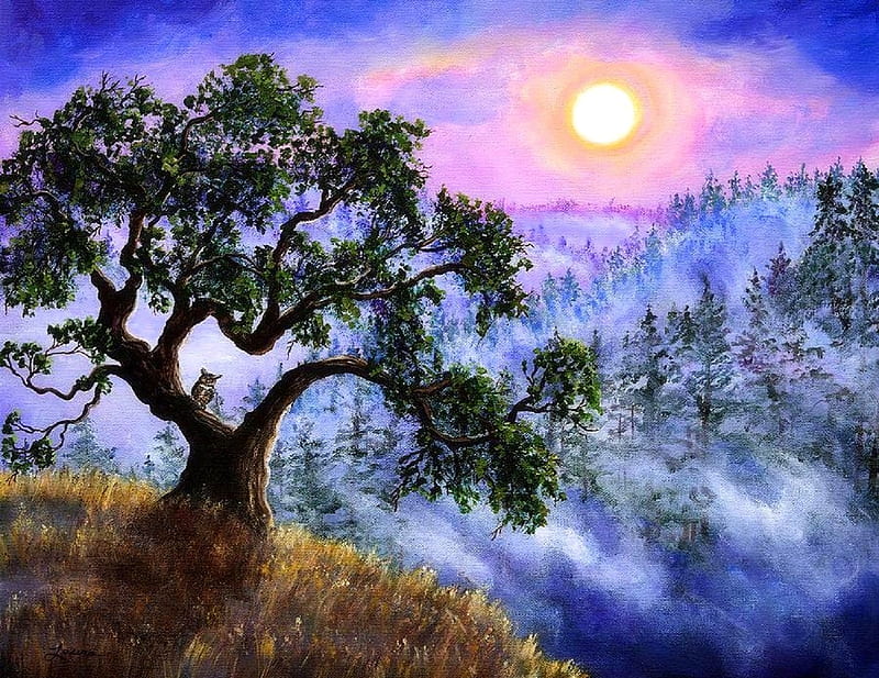 Luna in Mist, owl, moons, draw and paint, love four seasons, attractions in dreams, fog, mist, paintings, red woods, landscapes, pine trees, nature, HD wallpaper