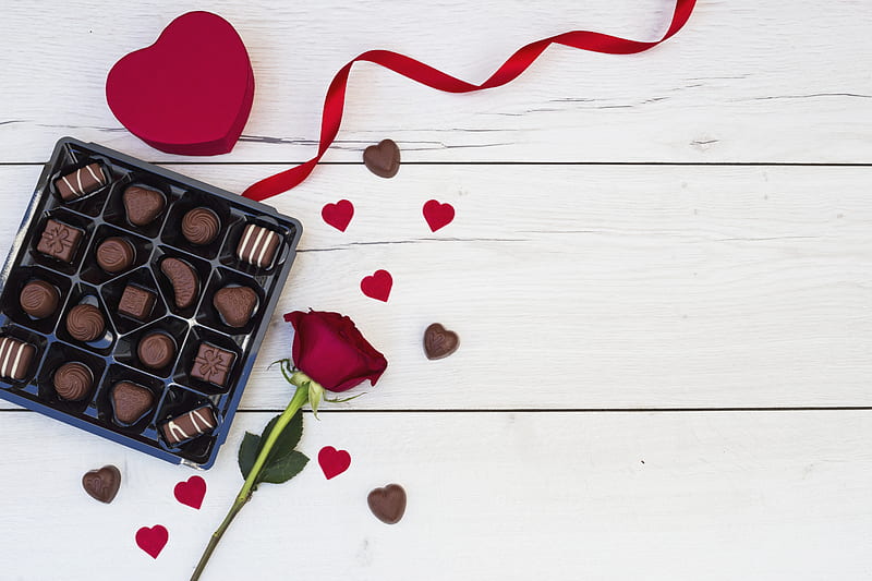 Holiday, Valentine's Day, Chocolate, Rose, Still Life, HD wallpaper