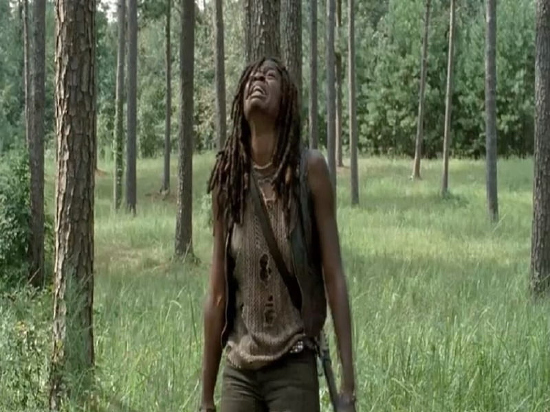 Michonne [The Walking Dead], Michonne, actress, TV series, entertainment, The Walking Dead, HD wallpaper