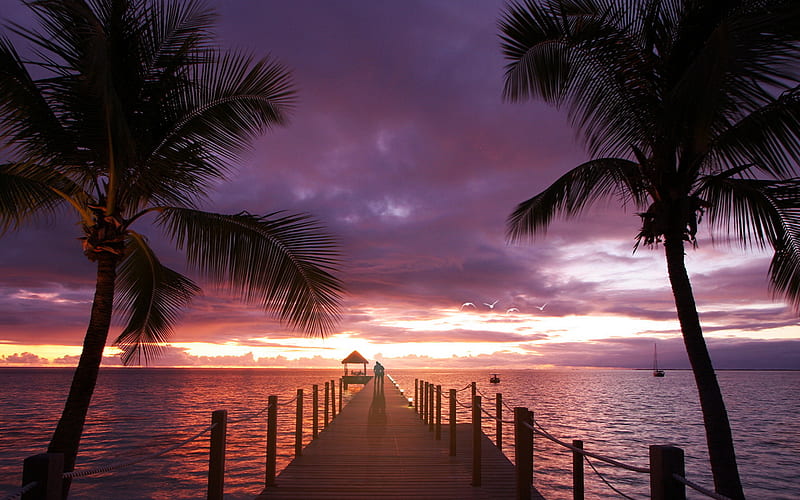 Romantic Place, pretty, dusk, palm, sunset, clouds, peacceful, sundown,  lovers, HD wallpaper | Peakpx