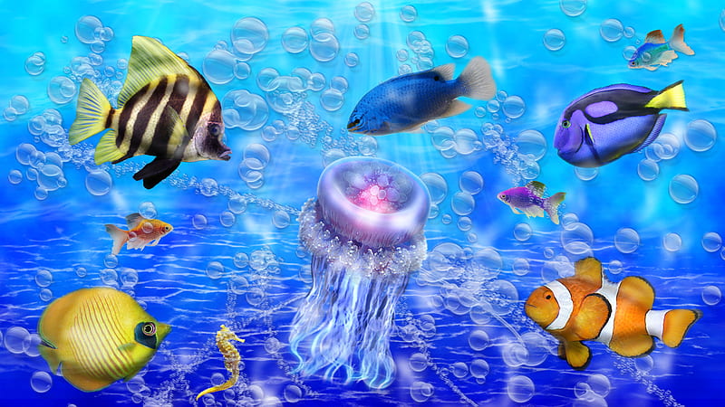 Ocean in Color, colorful, water, fish, ocean, bonito, jelly fish, HD wallpaper