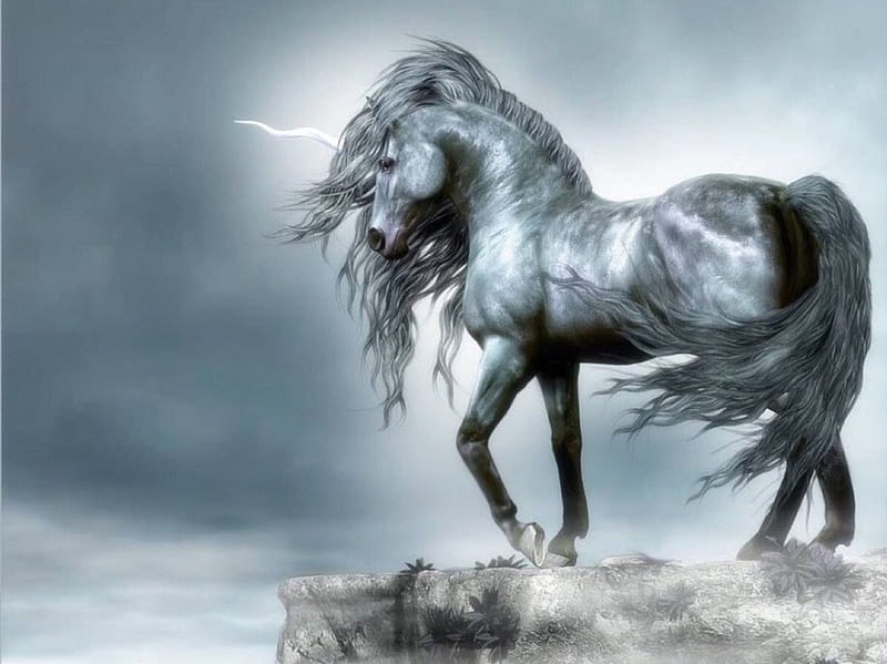 The Grey Unicorn, horn, bonito, gris, majestic, unicorns, Fantasy, horses, HD wallpaper