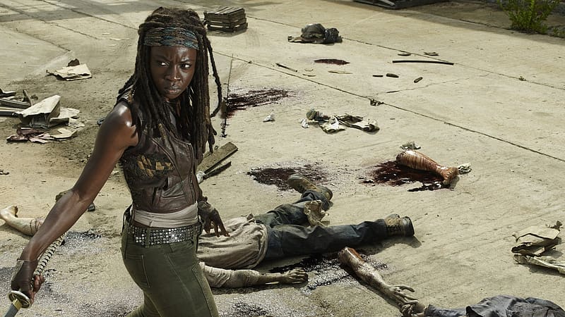 Tv Show, The Walking Dead, Michonne (The Walking Dead), Danai Gurira, HD wallpaper