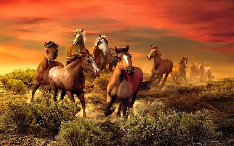 The wild bunch, brown, grass, fiery, bonito, clouds, wilderness, nice, bunch, wild, lovely, sky, horses, fire, ride, nature, meadow, field, HD wallpaper