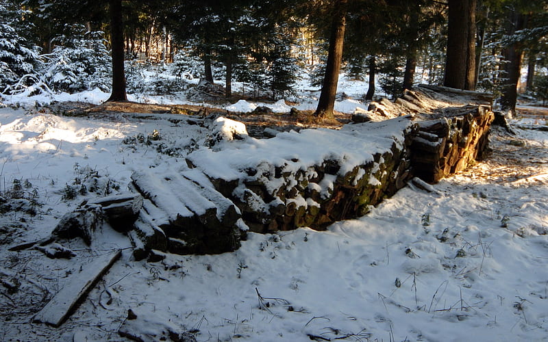 Same Woodpile, , tree, woodpile, snow, wds, winter, cold, HD wallpaper