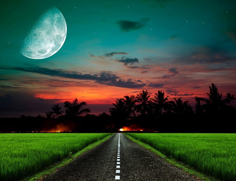 The road to ....Paradise, moon, sky, road, grass, HD wallpaper