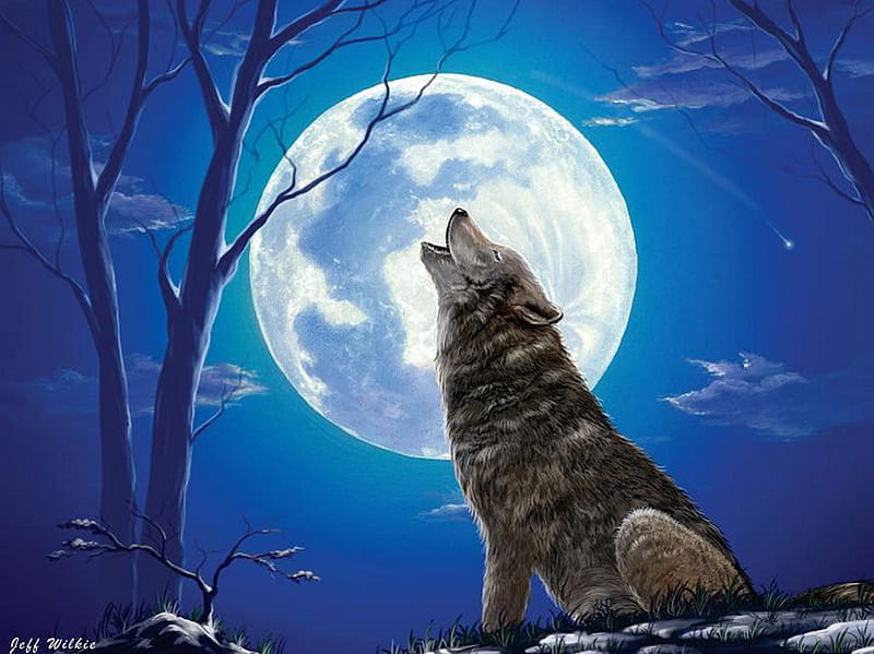 Lone Wolf, moon, moonlight, howl, trees, night, HD wallpaper