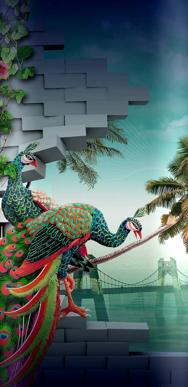 TropicPeacock , peacock, birds, tropical, bonito, pretty, girly, HD phone wallpaper