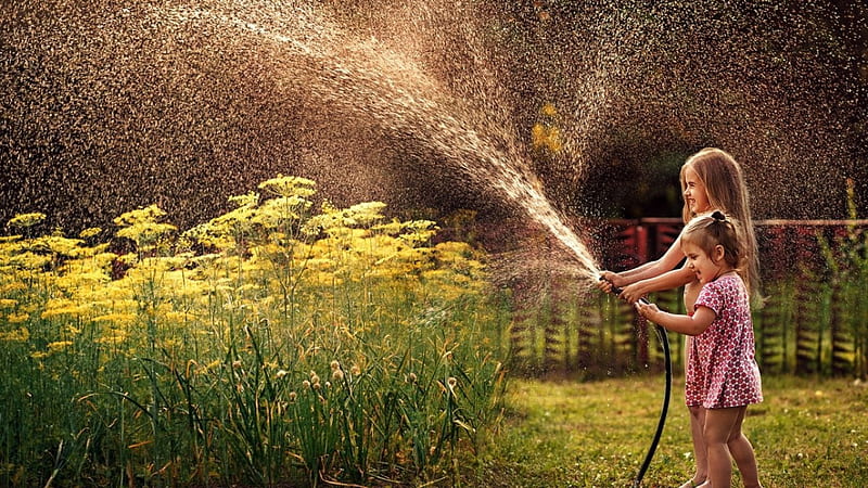 Children playing with water, summer, watering, spray, hose, HD wallpaper