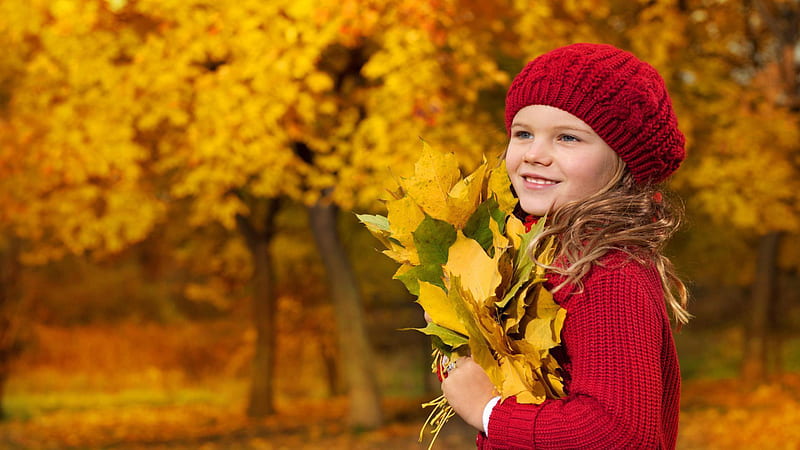 Smiley Cute Girl Is Wearing Red Wool Knitted Sweater And Cap Having Dry Leaves In Hands In Autumn Trees Background Cute, HD wallpaper