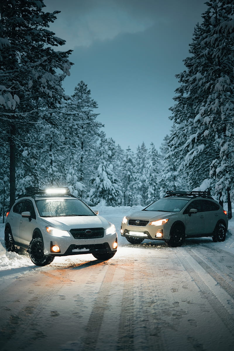 carros, white, snow, winter, trees, HD phone wallpaper