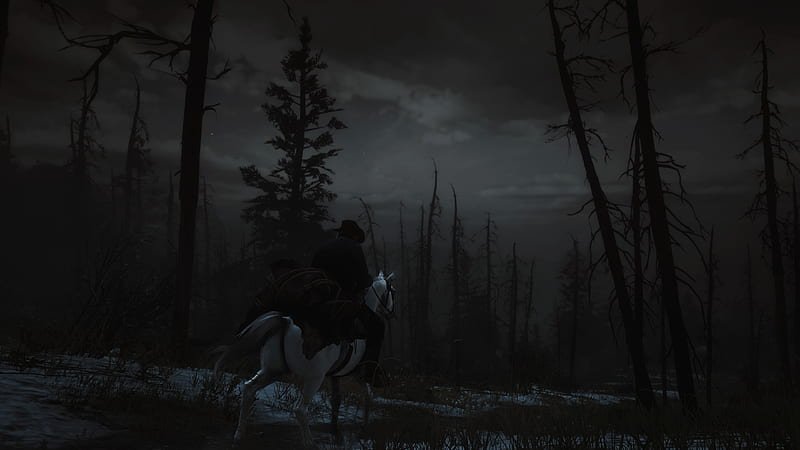 red dead redemption 2, horse, night, trees, rdr2, Games, HD wallpaper