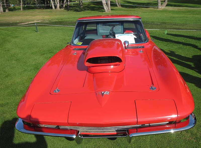1967 Corvette Sting Ray Convertible, red, graphy, green, Chevrolet, grass, corvette, HD wallpaper