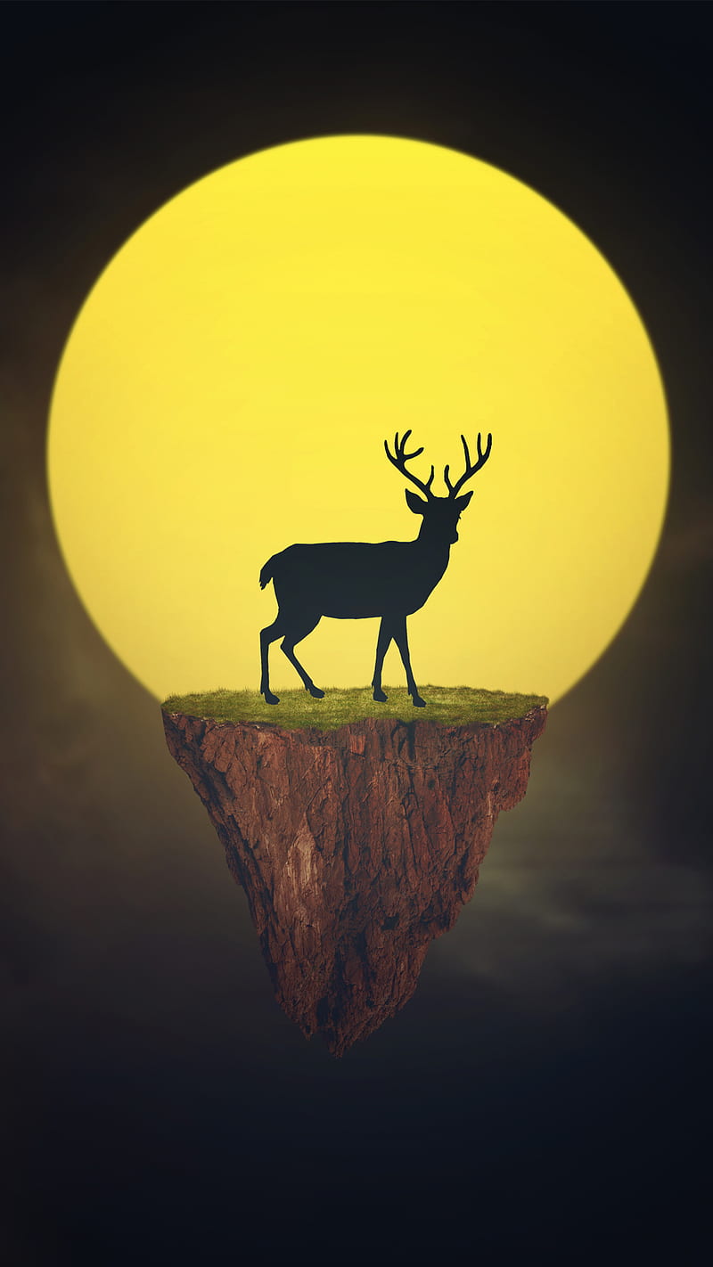 deer and sun, art, desenho, hunting, mountains, nature, hop, sunsets, white, HD phone wallpaper