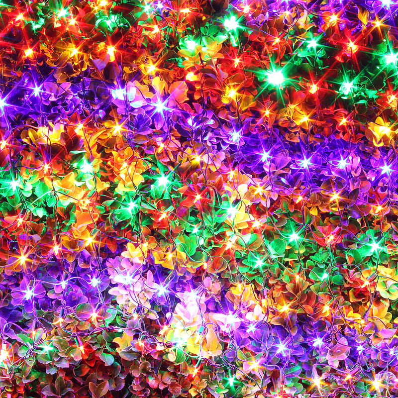 Christmas Lights , bright, colorful, holidays, intense, knit, rainbow, sharp, yarn, HD phone wallpaper