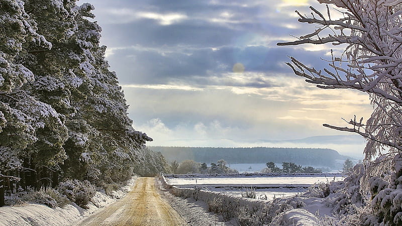 road on the edge of a forest in winter, forest, fields, road, clouds, winter, HD wallpaper