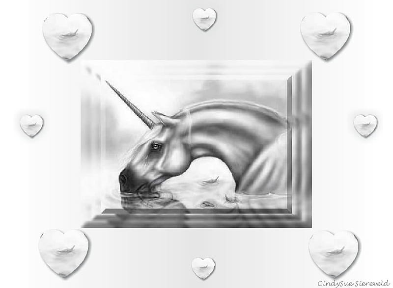Unicorn Love, fantasy, unicorn, white unicorn, love, HD wallpaper