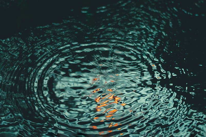 water, ripples, circles, sea, HD wallpaper