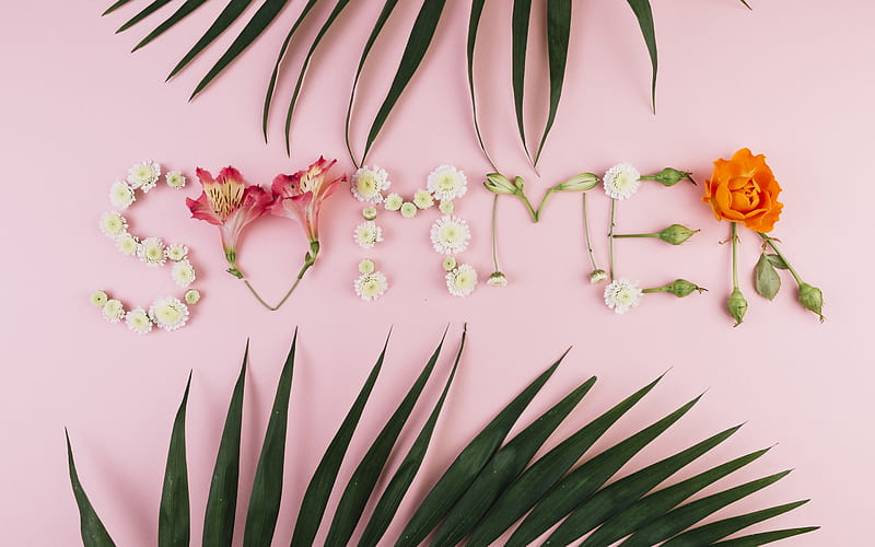 summer concepts, word from flowers, palm leaves, pink background, tropical flowers, HD wallpaper