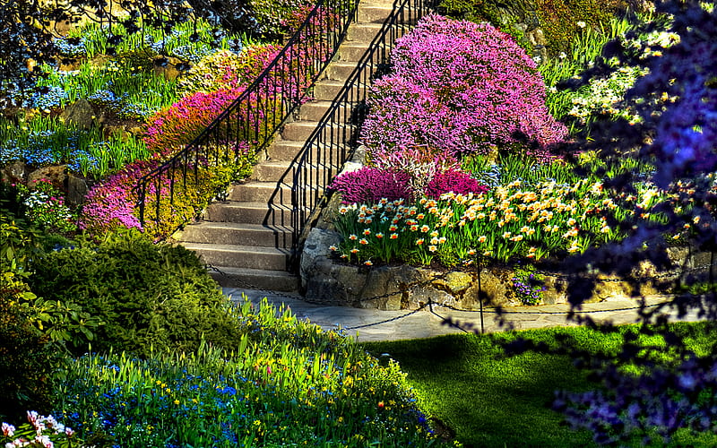 Beautiful Garden, rocks, lawns, pretty, grass, shrubs, splendor, bank, path, heaven, flowers, beauty, butchart, spring time, colorful garden, lovely, trees, mountains, garden, colorful flowers, blue flowers, colorful, colourful, stairs, bonito, staircase, blossom, green, stone, way, blue, handrail, amazing, view, upwards, colors, spring, tree, plants, gardens, peaceful, colours, nature, lawn, steps, HD wallpaper