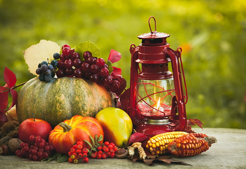 Cozy Autumn, apple, corn, Fall, pear, lantern, acorns, wheat, gourds, fruit, grapes, nuts, leaves, flame, berries, Autumn, pumpkins, HD wallpaper