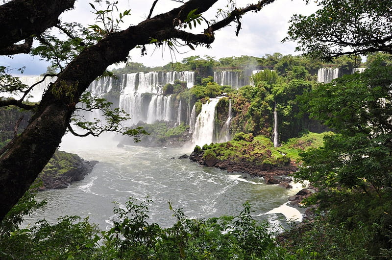Iguazu Falls, forest, cool, waterfall, nature, river, fun, HD wallpaper