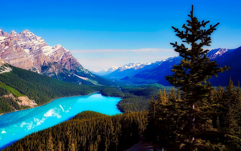 Peyto Lake, R, forest, mountains, blue lake, Canada, HD wallpaper