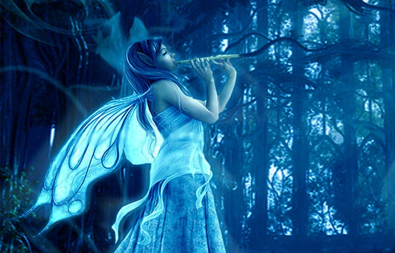 Fairy, forest, wings, music, fantasy, butterfly, dark, flute, blue, night, HD wallpaper