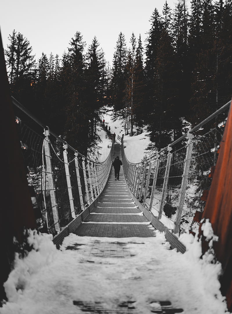 bridge, silhouette, snow, trees, winter, HD phone wallpaper