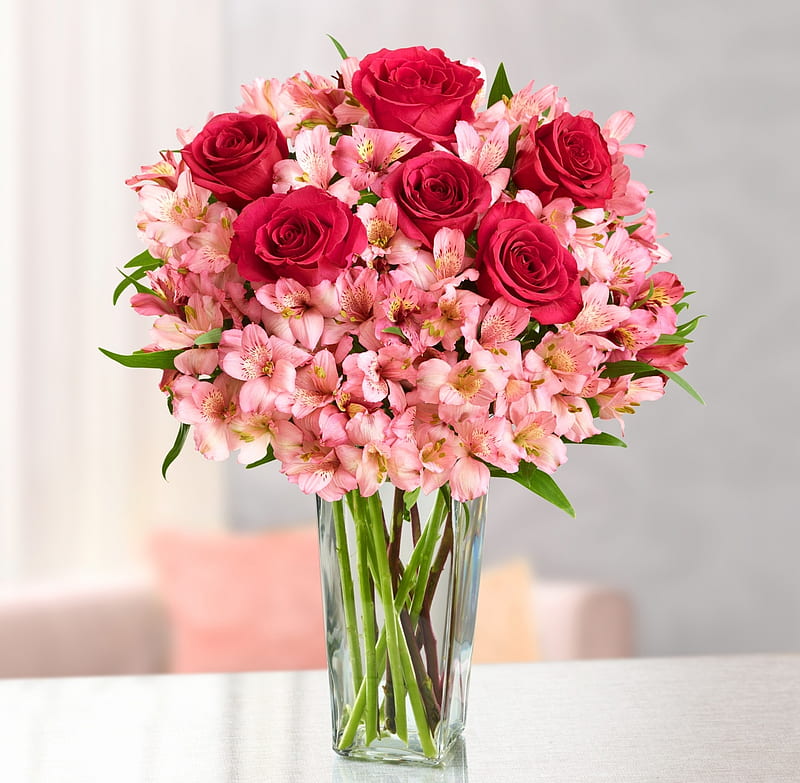 Flowers, red, glass, rose, bouquet, flower, vase, pink, HD wallpaper
