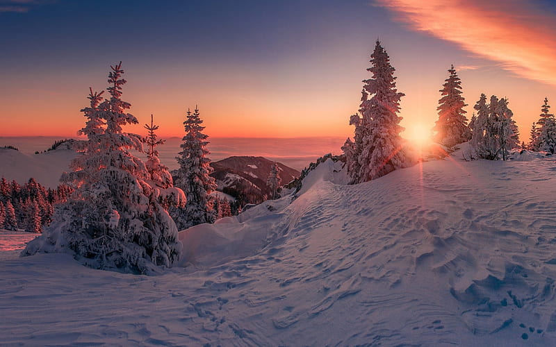 winter, sunset, mountain landscape, snow, forest, winter background, HD wallpaper