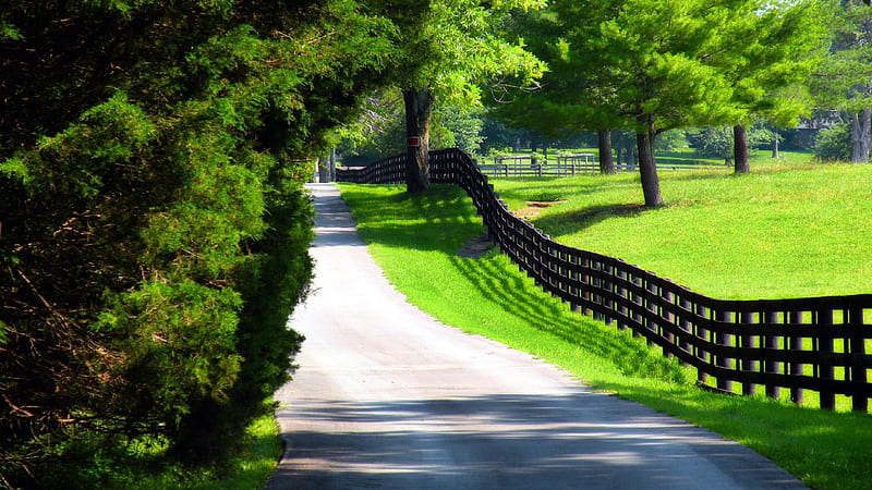 Road Between Green Grass Slope Field Fence Trees With Sunrays Nature ...