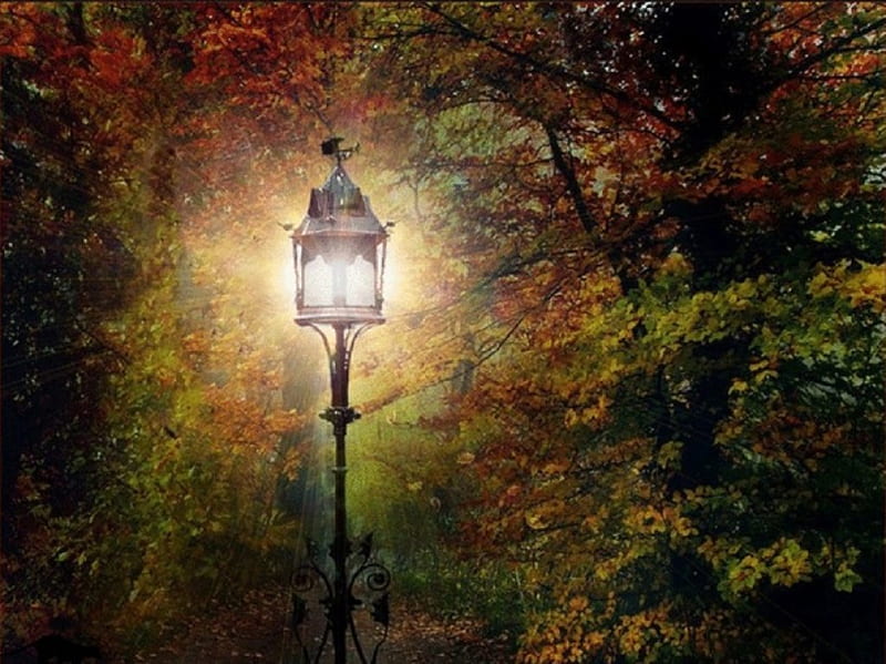 Park Fall Lantern, fall leaves, nature, park, lantern, HD wallpaper ...