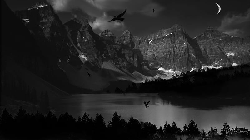 Mountain Darkness, , birds, trees, sky, lake, mountain, nature, evening ...