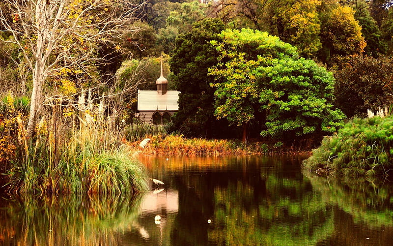 pond autumn trees-Scenery, HD wallpaper