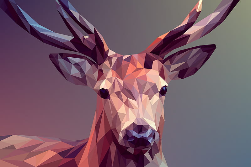 Deer Polygon Art , deer, polygon, artist, artwork, digital-art, HD wallpaper