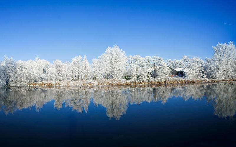 panoramic graphy-winter snow theme, HD wallpaper
