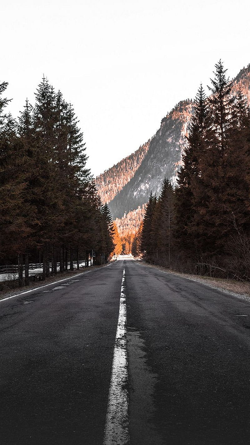 Road trip , tree, lines, mountains, nature, HD phone wallpaper