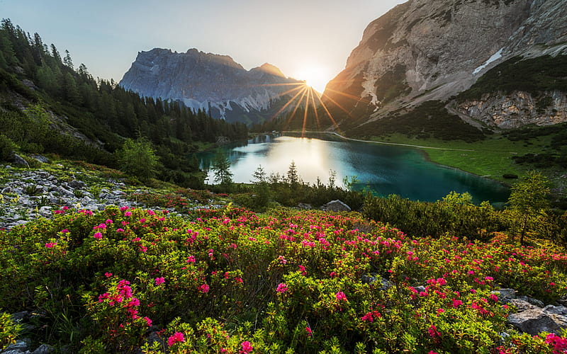 Seebensee, mountain lake, evening, sunset, Alps, mountain landscape, natural alpine lake, Mieming Range, Tyrol, Austria, HD wallpaper