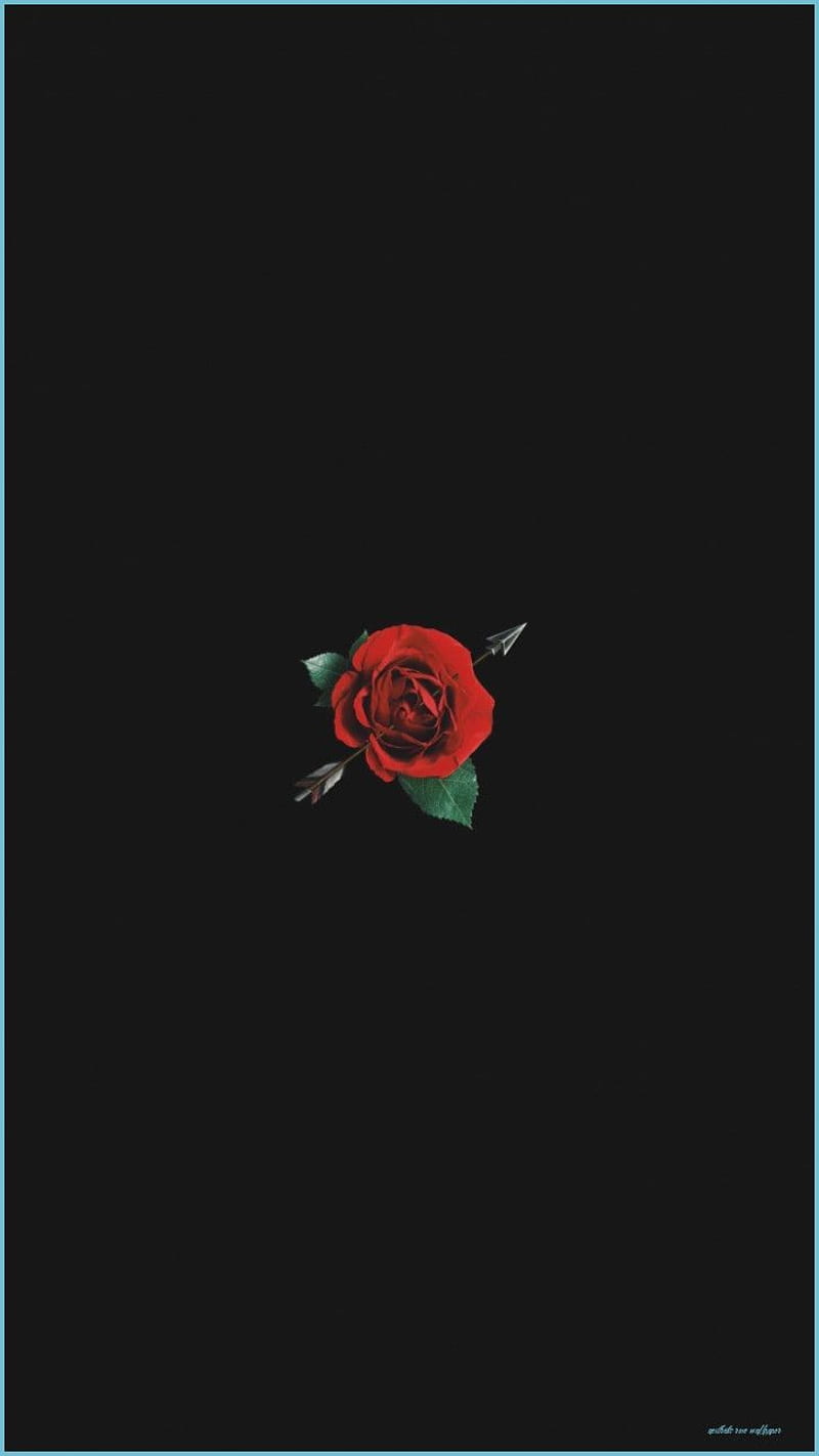 Dark Aesthetic Rose, Minimal Rose, HD phone wallpaper | Peakpx