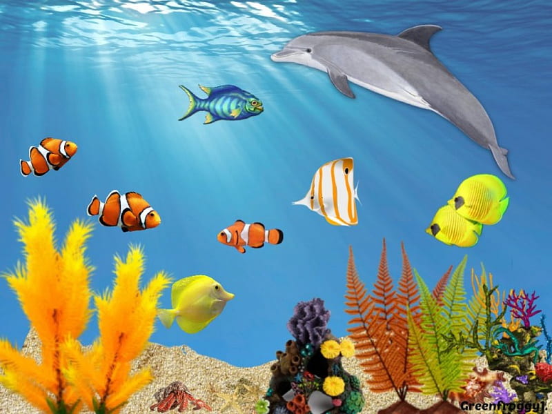 UNDER THE SEA, FISH, CREATION, SEA, PLANTS, HD wallpaper